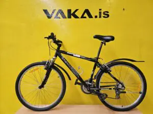 Schwinn