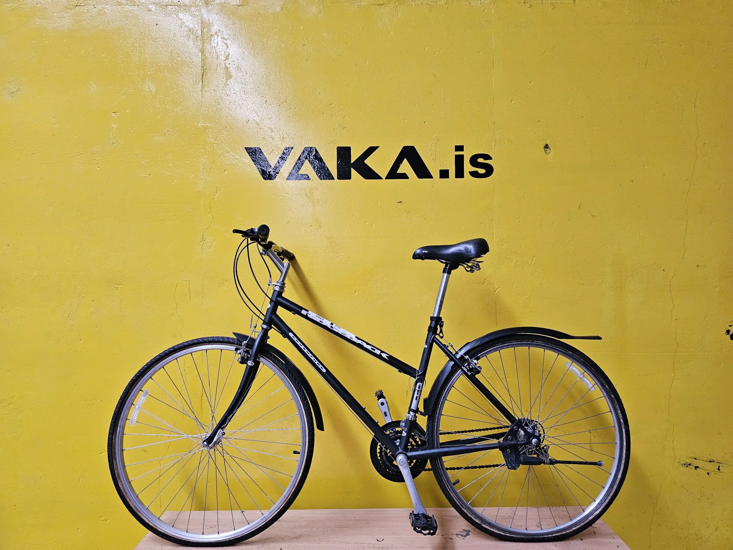 svart Ridgeback adventure