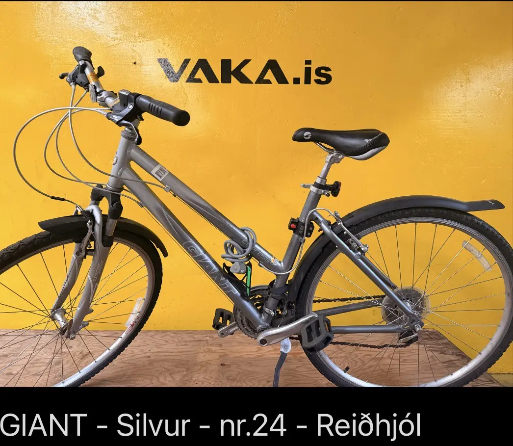 Giant