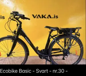 Ecobike
