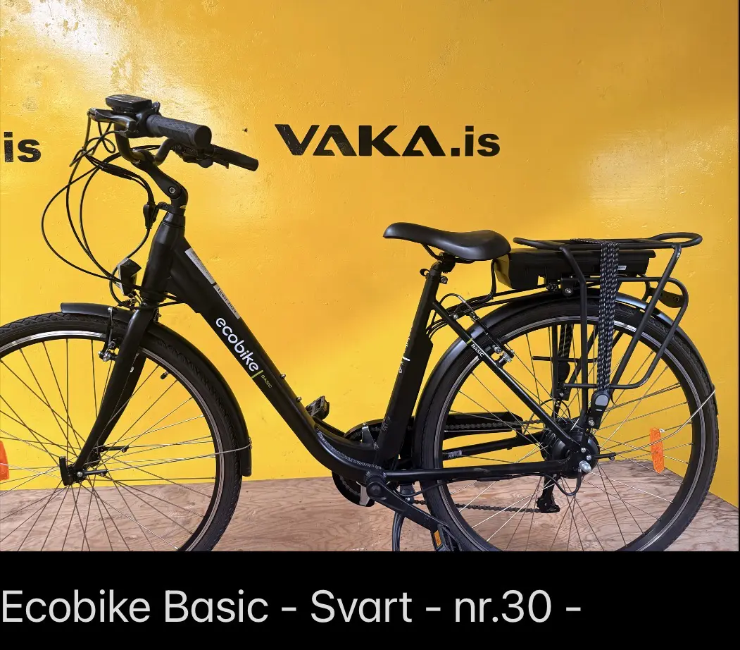 Ecobike