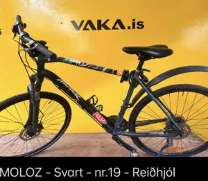 Moloz