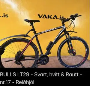 Bulls LT29