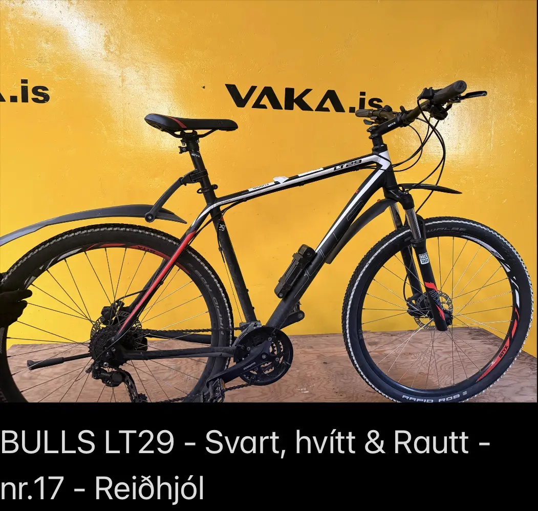 Bulls LT29