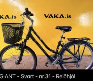 Giant
