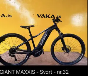 Giant
