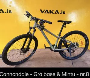 Cannondale