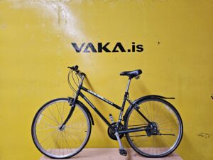 svart Ridgeback adventure